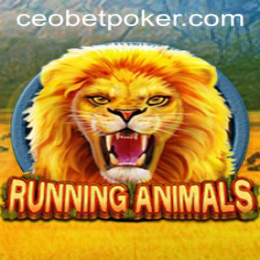 RunningAnimals: A Thrilling Adventure with Ceo.bet